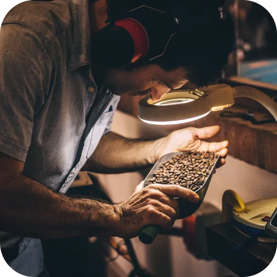 Hombre examinando granos de café